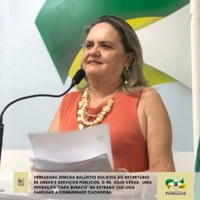 Vereadora Zenilda solicita operação "tapa buraco" na estrada que liga Parelhas a Comunidade Cachoeira
